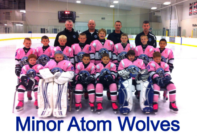 Wolves_MA_pink_team_pic.JPG