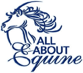 ALL ABOUT EQUINE