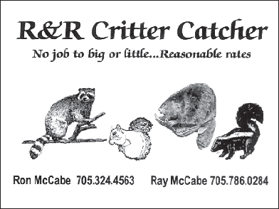 R & R Critter Catcher
