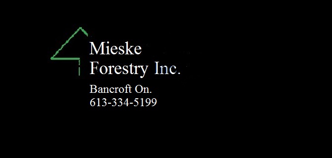 Mieske Forestry